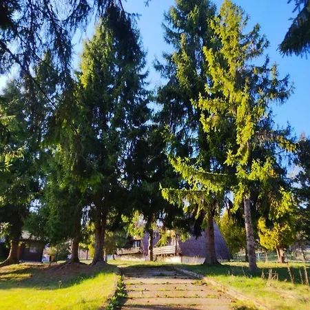 O. W. Ostrowianka * Muszyna